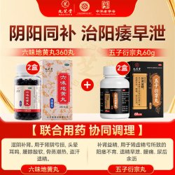 九芝堂 六味地黄丸中药官方旗舰店正品浓缩男人男士药房补肾调理