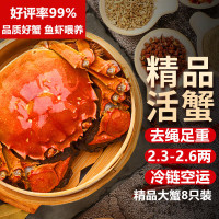 湖鲜阳澄 大闸蟹 全母2.5-2.8两 4对8只