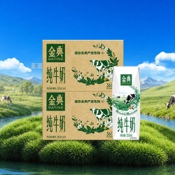 伊利 SATINE 金典 纯牛奶 250ml*16盒*2箱