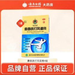云南白药 雷公麝香跌打风湿膏4贴