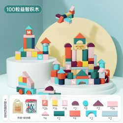 铭塔 木制积木玩具 莫兰迪色系儿童拼装拼搭早教启蒙生日礼物 100粒大颗粒（收纳桶装）