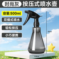 得力 喷壶浇花浇水喷雾器500ml气压喷壶