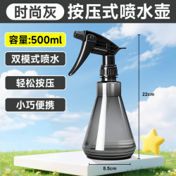 得力 喷壶浇花浇水喷雾器500ml气压喷壶