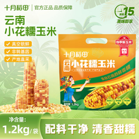 十月稻田 云南小花糯玉米1.2kg当季新玉米自然鲜嫩