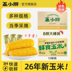 玉小胖 吉林四平玉米黄糯玉米净重2.5kg整箱8/10根
