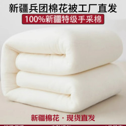 新疆全棉100纯棉被芯棉絮垫被冬被夏凉被空调被子棉被四季通用