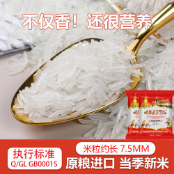泰那兰 泰国香米长粒猫牙米炒饭煲粥正宗大米清香新米450g*2包长粒米
