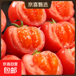 宁夏贺兰山普罗旺斯番茄 6斤 带箱