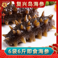 海参复兴岛8-10头/斤×6斤鲜蒸即食海参大连厂家直发