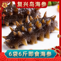 海参复兴岛8-10头/斤×6斤鲜蒸即食海参大连厂家直发