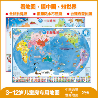 中国地图+世界地图（套装共2张覆膜撕不烂3-10岁儿童房挂图墙贴 地板图 家庭教育亲子启蒙地图课外阅读） 中国+世界地图（2张）