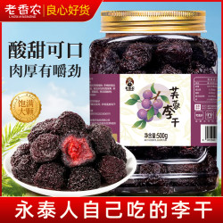 老香农 芙蓉李干500g罐装福建特产永泰李干酸甜淡干网红李子果脯休闲零食