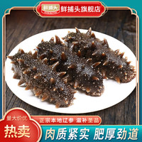 鲜捕头 海参正宗辽参即食海参营养滋 口感劲道 2斤装（8-12头/斤）