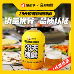 德伦堡 Derenburg/德伦堡精酿原浆28天鲜酿啤酒12P 4.1%vol