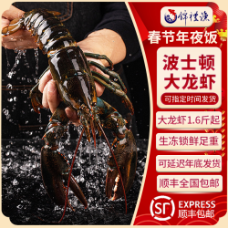 波士顿龙虾加拿大进口活冻肉质鲜嫩饱满新鲜 多规格可选