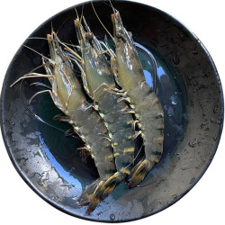 蝶岛海歌 福建东山岛活冻黑虎虾250g（9-10只/盒）活虾速冻非真空