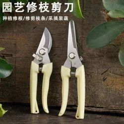 福花韵 剪刀奶白色不锈钢修枝园艺摘果剪花艺剪刀插花工具家用剪园林家用