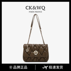 CK &WQ2026爆款通勤百搭洋气轻奢小众新款手提女包包夏天斜挎包