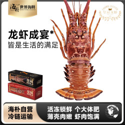 海朴 进口生冻龙虾礼盒送礼高端海鲜礼盒400克起春节年夜饭zb