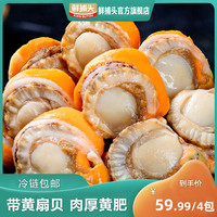 鲜捕头 北城扇贝 新鲜无沙无冰 150g*5袋 TW
