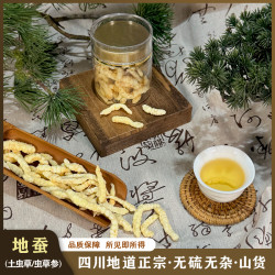 正宗地蚕无硫草石蚕土冬虫草参 可搭配枸杞煲汤煮水70g