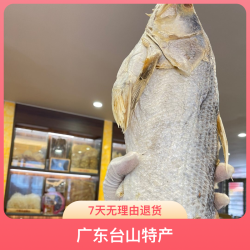 广东台山特产 马友鱼干 大马友鱼 一条2-4.5斤