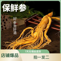 长白山保鲜人参 拍一发二 到手两颗净重200克