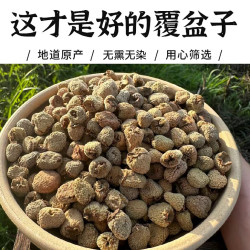 覆盆子正宗道地精选五叶覆盆子无硫天然大颗粒干果泡水泡茶喝
