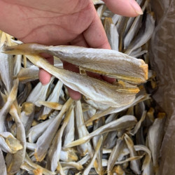 本港特大角鱼干15-20条包邮