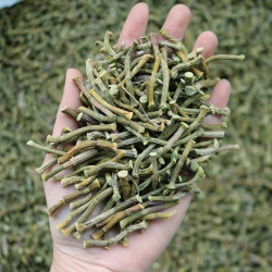 铁皮石斛条桃精选 500g