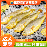 三都港速冻黄花鱼2~4条 宁德正宗原产地黄花鱼大黄鱼海鱼海鲜水产