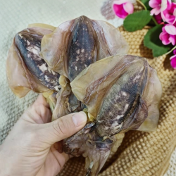 珠海淡口墨鱼干 生晒墨鱼干 煲汤 500克 海味干货