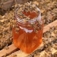 余蜂堂 拍1赠2 深山液态蜂蜜成熟封盖蜂农自产