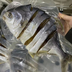 「双11」金鲳鱼干三大条每条一斤左右金昌鱼干净美味肉质紧实深海