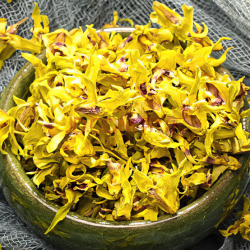 正品铁皮石斛花新花仿生干花食用养生花茶20克/罐