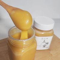 深山土蜂蜜500g 结晶土蜂蜜 蜂农直发