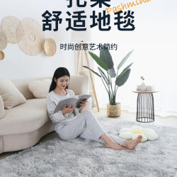 欧法利 地毯卧室客厅床边网红满铺地垫加厚家用少女房间宿舍长毛飘窗民宿