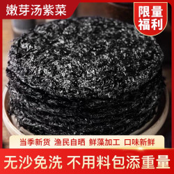 占久 嫩芽紫菜30g*5袋 干货无沙免洗精装紫菜可煲汤清炒海苔