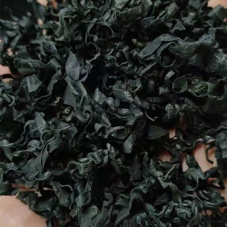 裙带菜 无沙海藻 干货特产 250克/500克 煲汤凉拌