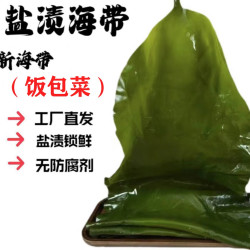 海带鲜嫩海带饭包菜带箱5斤