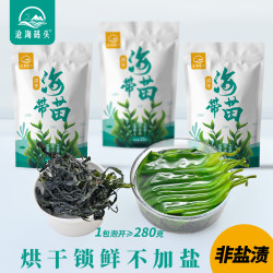 沧海码头烘干海带苗高倍泡发新鲜小海带嫩苗凉拌火锅煲汤