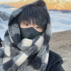 Honey Puppy流苏条纹格子保暖围巾情侣高级氛围感百搭学生围脖