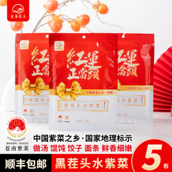 沧海码头原产地直供黑茬紫菜干净无沙无料包头水紫菜