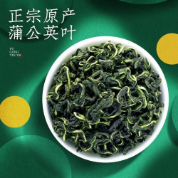 常翁 长白山蒲公英茶新茶上市手工炒制搭配菊花决明子冲泡
