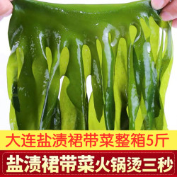 大连盐渍裙带菜整箱5斤