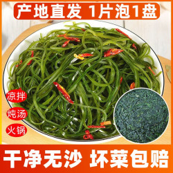 霞浦烘干压缩海带丝独立小包装16/22克营养鲜嫩免洗凉拌火锅食材