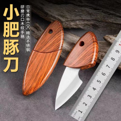 刀掌门 户外水果家用刀具不锈钢便携小刀西餐刀烧烤露营锋利多功能野营