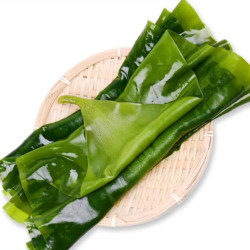 海带(饭包菜)       带箱5斤