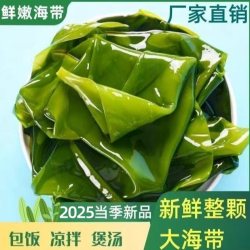 大连海带鲜嫩盐渍整颗海带 带箱5斤 少盐