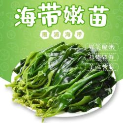 福建霞浦新鲜盐渍海带苗汤火锅凉拌鲜嫩爽脆营养250g袋直供烹饪